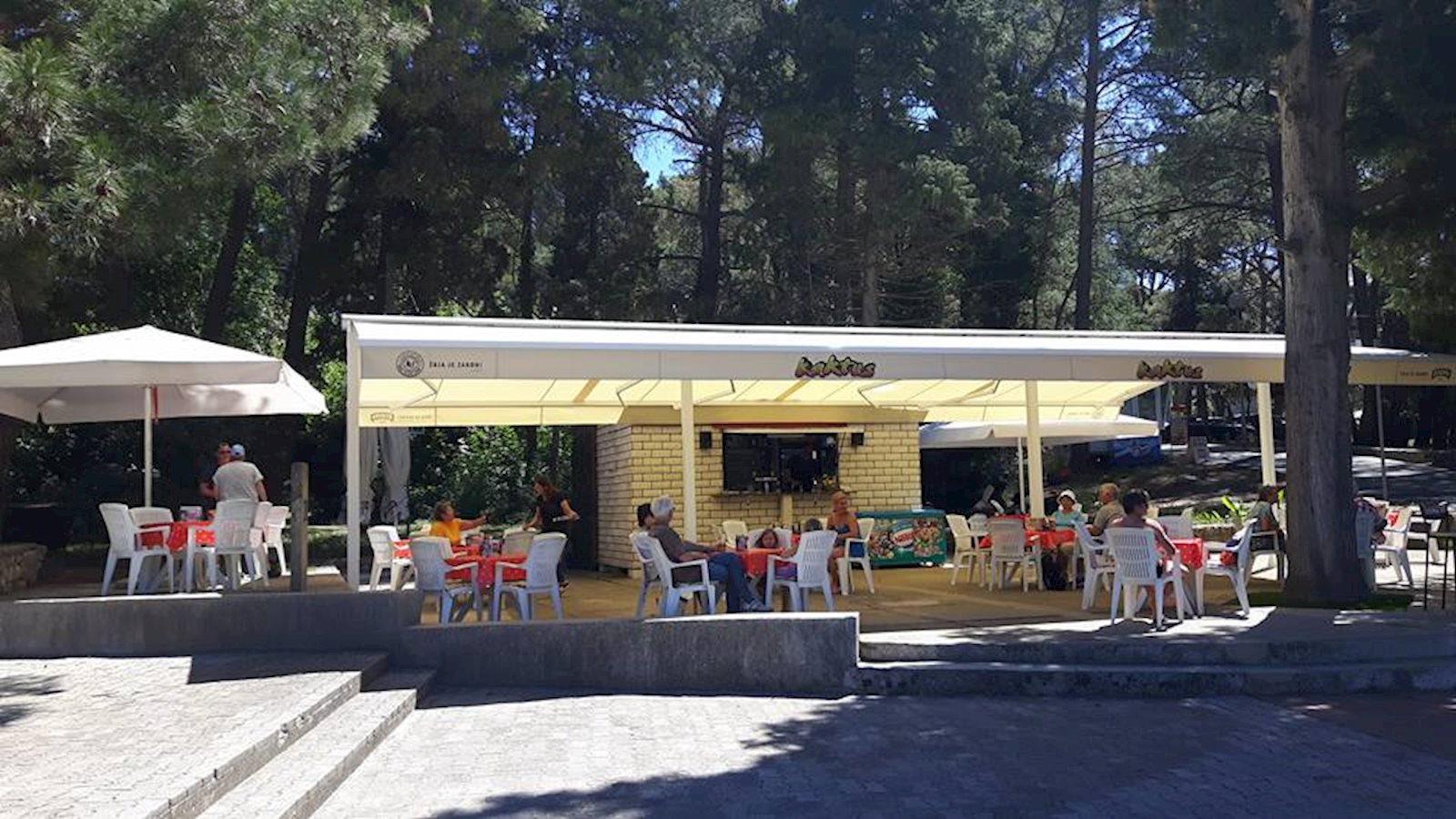 Kaktus Bar ikat | VAL Loinj